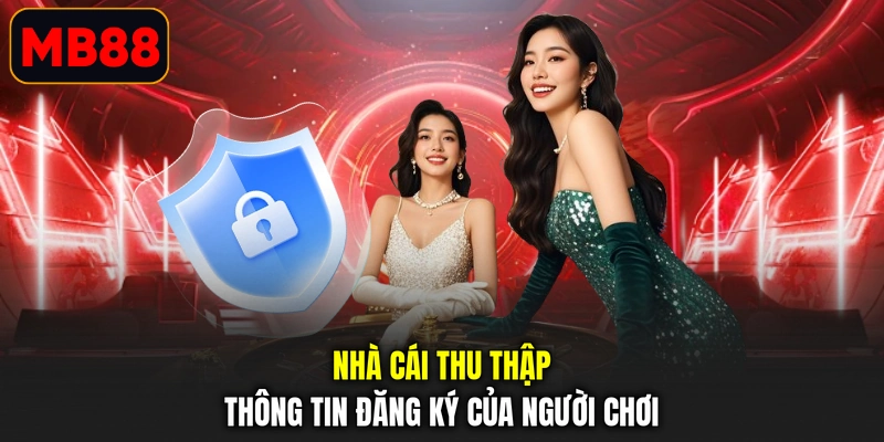 Nhà cái thu thập thông tin đăng ký của người chơi
